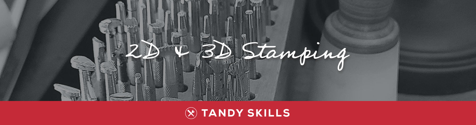 Tandy Skills: 2D & 3D Stamping