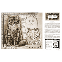 A Cat Portrait by Christine Stanley- Series 12 Page 6