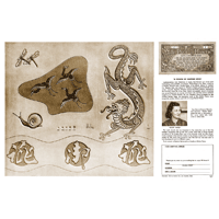 Une touche d'épices orientales par Melba Fisher - Série 3 Page 11