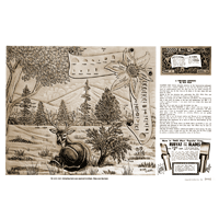 A Welcome Addition by Dick Giehl- Series 2B Page 8