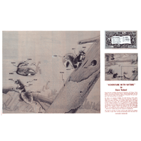 Adventure With Nature4 by Gene Noland- Series 8B Page 8