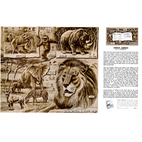 African Animals by Al Stohlman- Series 4B Page 2