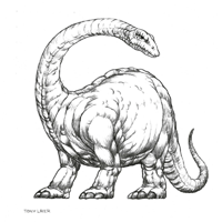 Croquis de dinosaure Apatosaurus