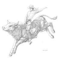 Bull Rider Sketch