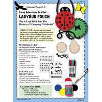 Camp Non Tooling Lady Bug Pouch Lesson Plan