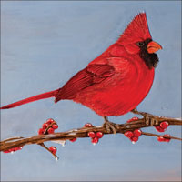 Motif cardinal par Charlie Davenport