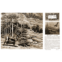 Carve This Scene - Plus sur les arbres par Al Stohlman - Série 12 Page 2