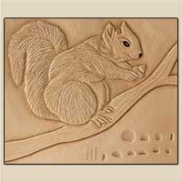 Carving a Squirrel Pattern