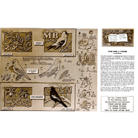 Colorado and Iowa Birds and Flowers by Al Stolman- Series 4B Page 6