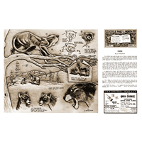 Cougar de Al Stohlman- Serie 12 Página 5