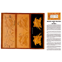 Porte-billets de luxe pour femmes par Jim Smith - Série 12D Page 3