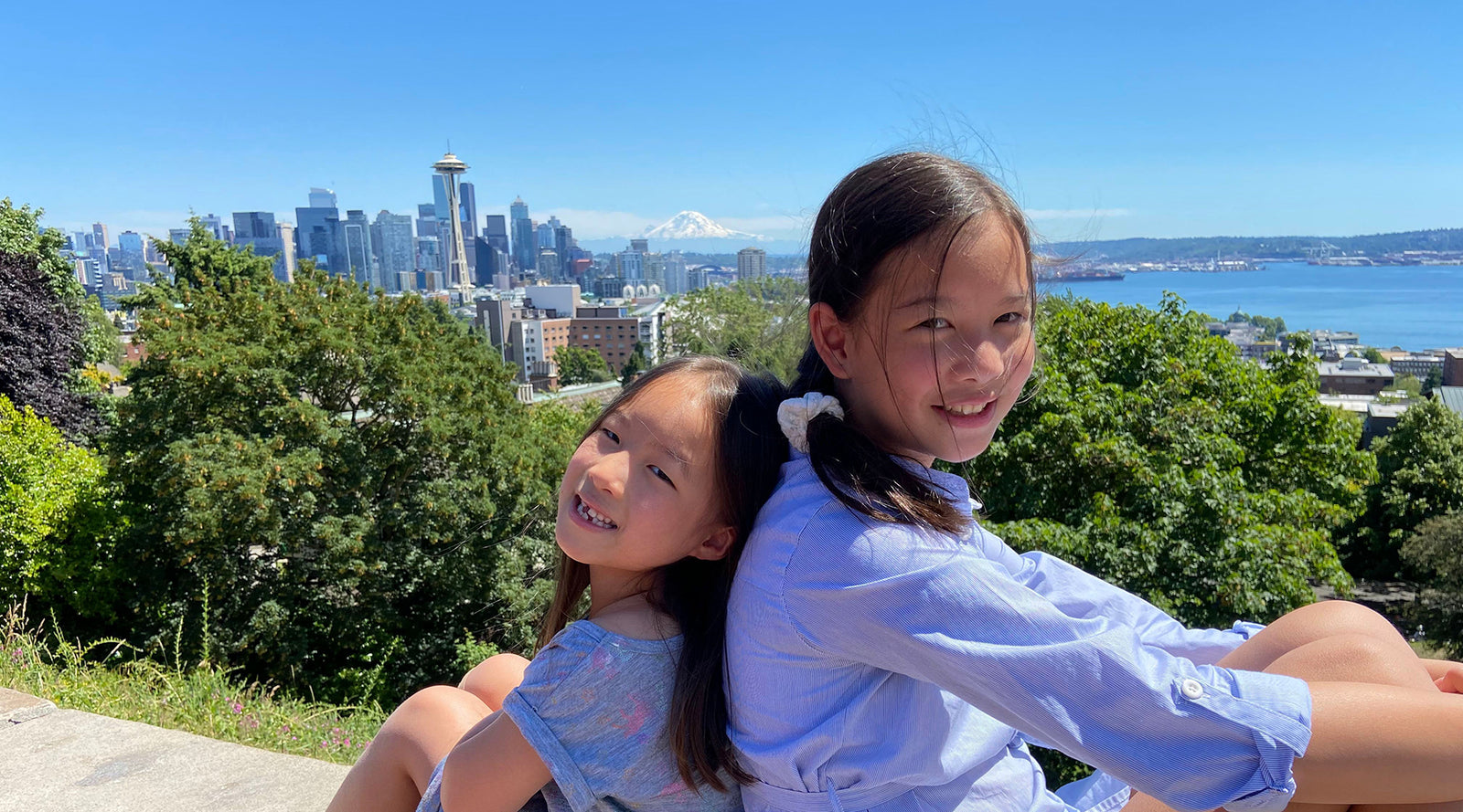 ¡Kits de fabricación de patos y pollitos!