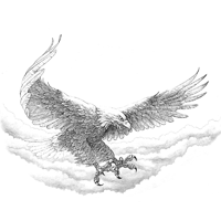 Esquisse d'aigle