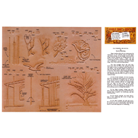 Feathering The Bevel by Darwin Ohlerking- Series 6D Page 11