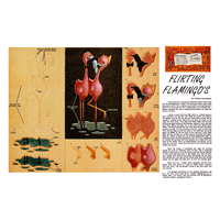 Flirting Flamingo's de Thomas Dearmore - Série 1E Page 8