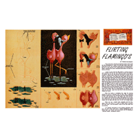 Flirting Flamingo's by Thomas Dearmore- Series 1E Page 8