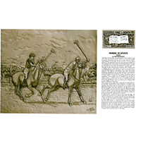 Horses In Sports Polo by Christine Stanley- Series 6B Page 1