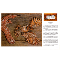 Knight Hunter de Tom Wolfe - Série 5D Page 6