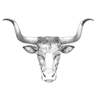 Long Horn Sketch — Tandy Leather, Inc.