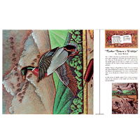 Mother Nature's Wildlife by Gene Noland- Series 11B Page 5 — Tandy ...