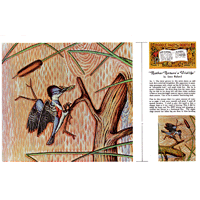 Mother Nature's Wildlife3 by Gene Noland- Series 11B Page 7