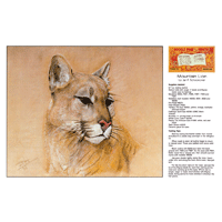 Mountain Lion by Jan F. Schoonover- Series 6E Page 10