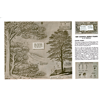 New Craftool saddle Stamps3 by Al Stohlman- Series 6B Page 7