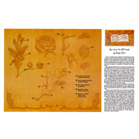 De nouveaux visages pour de vieux amis par George Gross - Série 4E Page 5