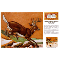 No Game In Sight par Gene Noland - Série 1D Page 5