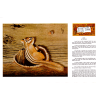 Oops by Tom Wolfe- Series 5D Page 9