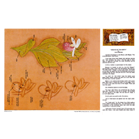 Orchid Of The North par Carol Gehrman - Série 10D Page 2