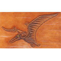 Pteranodon Dinosaur Tooling Pattern