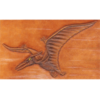 Pteranodon Dinosaur Tooling Pattern