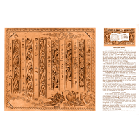 Right and Wrong - Figure and Floral par Cliff Ketchum - Série 7 Page 1