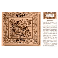 Saddles For The Stars de Fletcher Whitlow- Serie 7 Página 4