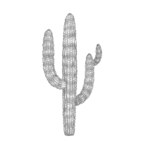 saguaro cactus outline