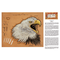 Screamin Eagle de Robb Barr- Serie 11D Página 9