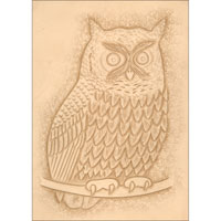 Screech Owl Pattern