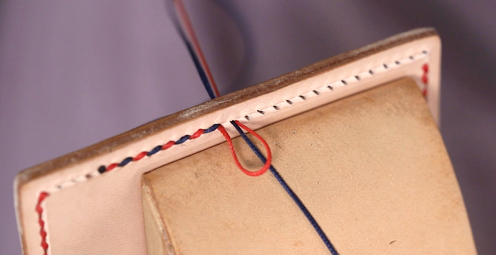 Compétences de Tandy : Piqûre à cheval