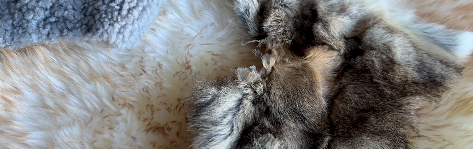 Una guía completa para trabajar con cueros con pelo y cuidarlos