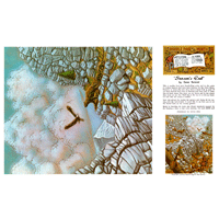 Season's End par Gene Noland - Série 12B Page 3