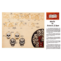 Skulls by Fredrick J. Hoyt- Series 1E Page 11