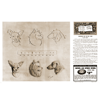 Something for the Dig Lover par Dick Giehl - Série 11 Page 3