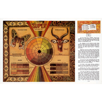 Super Dye de Paul Burnett - Série 4D Page 10