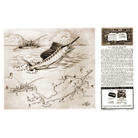 The Pacific Sailfish par Christine Stanley - Série 10 Page 5