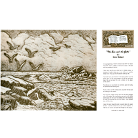 El mar y las gaviotas por Gene Noland- Serie 9B Página 9