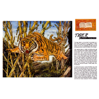 Tiger by Kham F. Thong Vanh- Series 2E Page 8