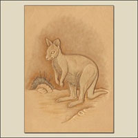 Tooling a Wallaby How-To de Tony's Bench