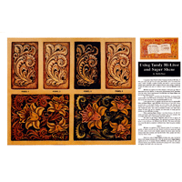 Uso de Tandy Hi-Liter y Super Shene de Rob Barr- Serie 3E Página 5