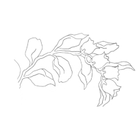 patrón de flores silvestres